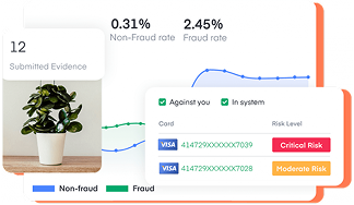 Fraud and Risk Protection